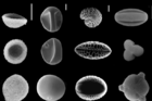 G2_screen_shot_2011-11-15_at_22.22.40_